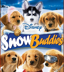 Snow Buddies