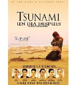 Tsunami - The Aftermath