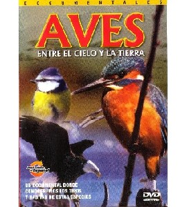 Aves - Entre el Cielo y la Tierra