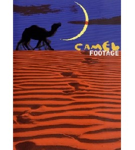 Camel - Footage Camel - Footage