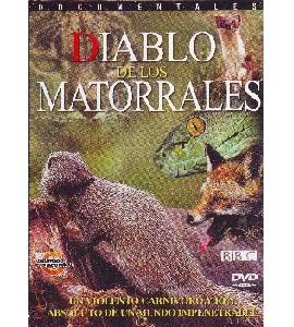 BBC - El Diablo de los Matorrales