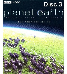 Blu-ray - planet earth - The Complete Series - Disc 3 Blu-ray - planet earth - The Complete Series - Disc 3
