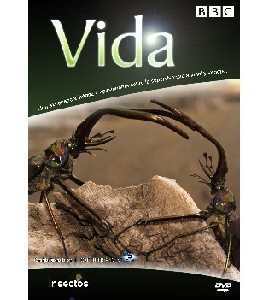 BBC Life - 6 Insects