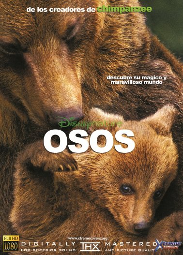 Osos