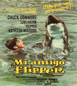 Flipper